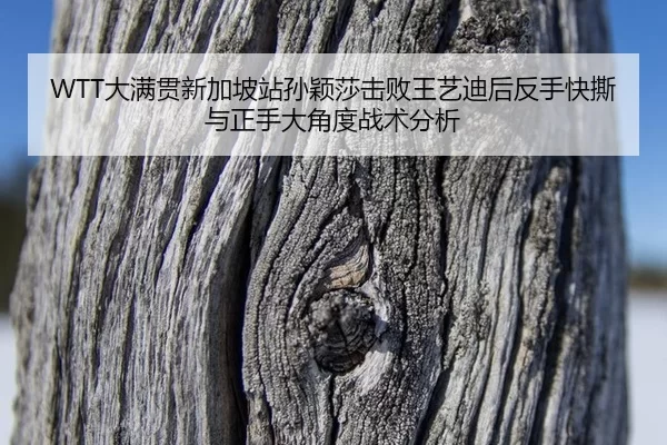 WTT大满贯新加坡站孙颖莎击败王艺迪后反手快撕与正手大角度战术分析
